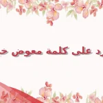 الرد على كلمة معوض خير