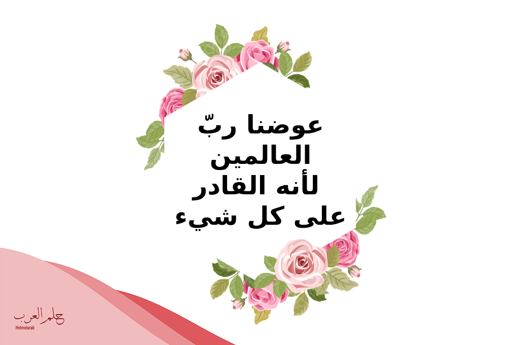 الرد على كلمة معوض خير