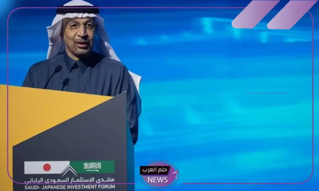 بدايةً من العام المقبل.. وزارة الاستثمار تتيح 4 مطارات لإدارة القطاع الخاص بدايةً من العام المقبل.. وزارة الاستثمار تتيح 4 مطارات لإدارة القطاع الخاص