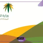 بدون شروط.. حالات تتيح للعامل نقل الكفالة دون موافقة الكفيل 1446