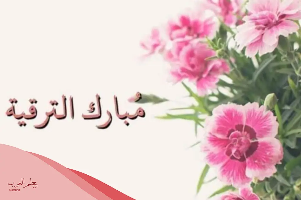 عبارات عن الترقية تهنئة.. أجمل رسائل تهنئة على الترقية