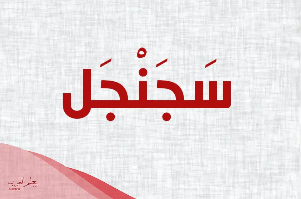 أصعب 10 كلمات غريبة قصيرة بمعانيها أصعب 10 كلمات غريبة قصيرة بمعانيها