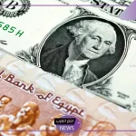 أسعار الصرف.. سعر صرف الدولار أمام الجنيه اليوم الإثنين 4 نوفمبر 2024 في البنوك