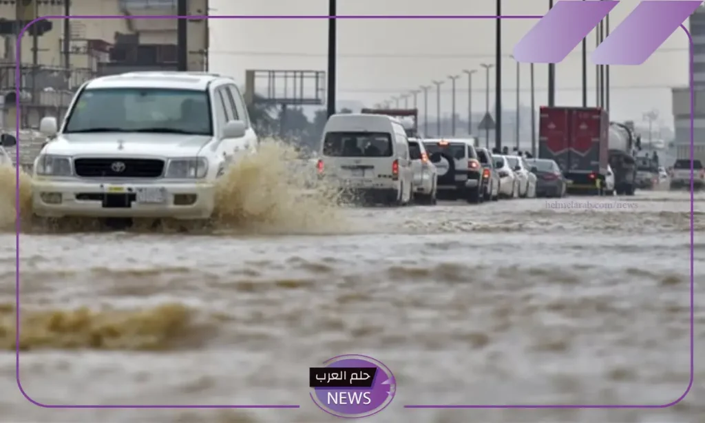 هيئة الأرصاد.. تحذير هام من العواصف الرعدية والأمطار في السعودية