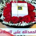 عبارات الحمدلله على سلامتك حفظك الله من كل سوء