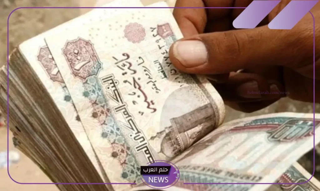 في هذا الموعد.. تنفيذ قرار المعاش المبكر اعتبارًا من شهر يناير القادم في هذا الموعد.. تنفيذ قرار المعاش المبكر اعتبارًا من شهر يناير القادم