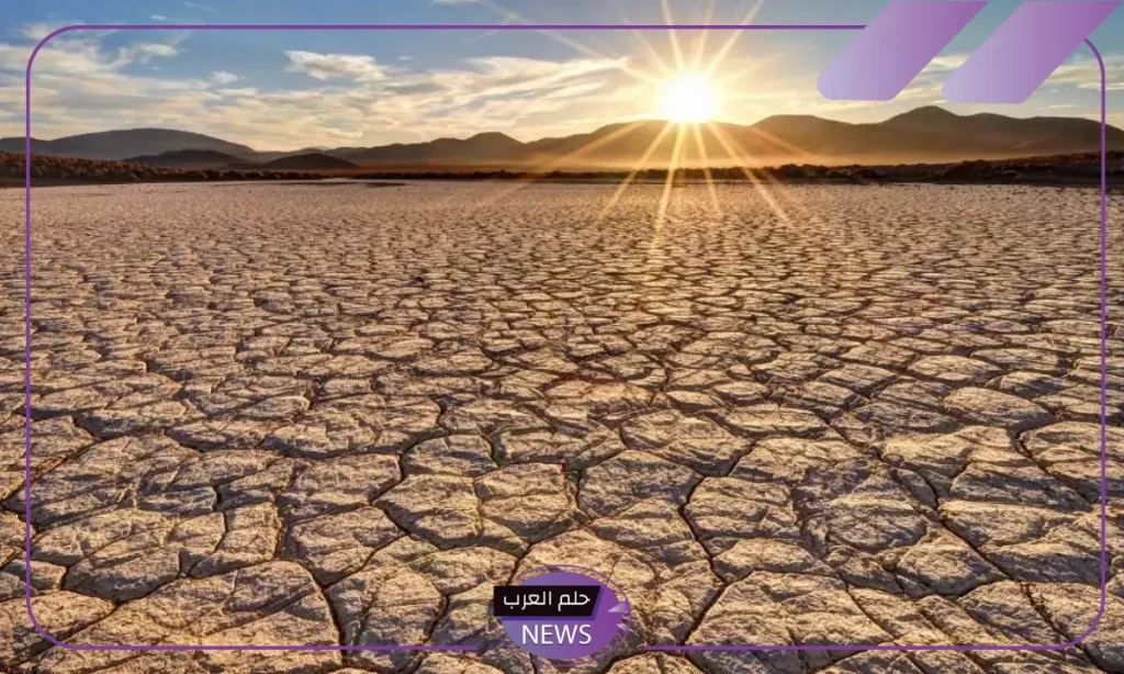 بشكل رسمي.. السعودية تقوم بتوجيه دعوة إلى العالم لمواجهة تحدي تدهور الأراضي