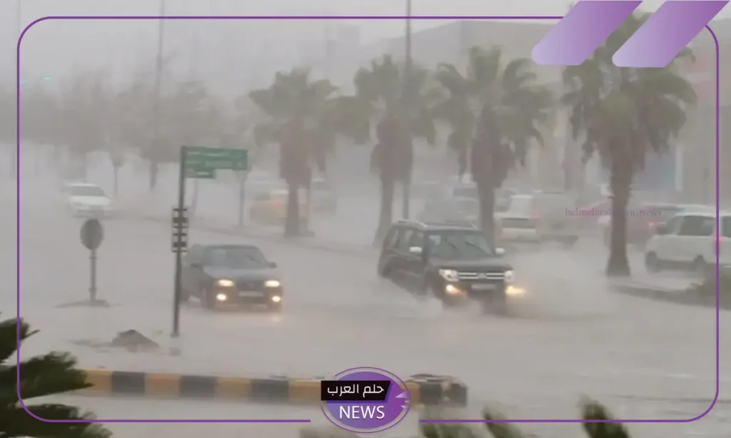 في هذا الموعد.. توقعات هيئة الأرصاد بهطول الأمطار على مناطق في السعودية بدايةً من يوم الجمعة