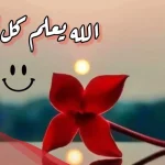 أقوى حالات واتس اب منوعه للشباب والبنات 2025