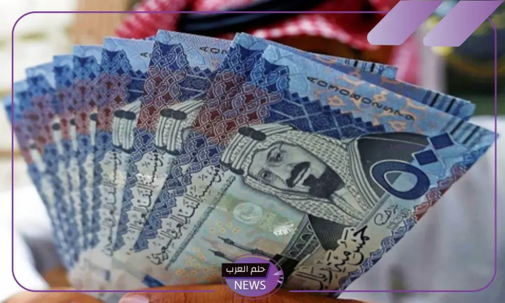 الموارد البشرية.. حقيقة تأثير التسجيل في نطاقات على معاش الضمان الاجتماعي