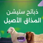 بعد النجاح الهائل.. توسع خدمات تطبيق ذبايح ستيشن في الرياض بعد جدة