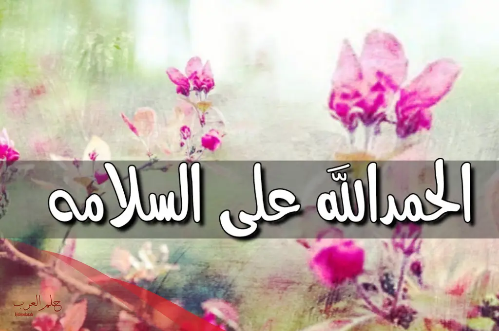 عبارات الحمدلله على سلامتك حفظك الله من كل سوء عبارات الحمدلله على سلامتك حفظك الله من كل سوء
