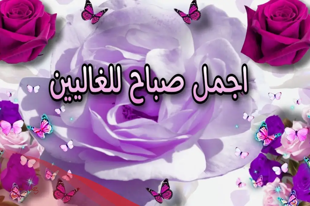 رسائل صباحية للعشاق رومانسية رسائل صباحية للعشاق رومانسية