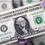 بكم الدولار اليوم؟ سعر بيع وشراء الدولار الأمريكي مقابل الجنيه المصري اليوم الثلاثاء 5 نوفمبر