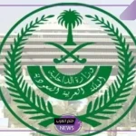 وزارة الداخلية.. الإعلان عن حصيلة المتورطين في جرائم مخلة بالشرف ومن حاولوا عبور الحدود