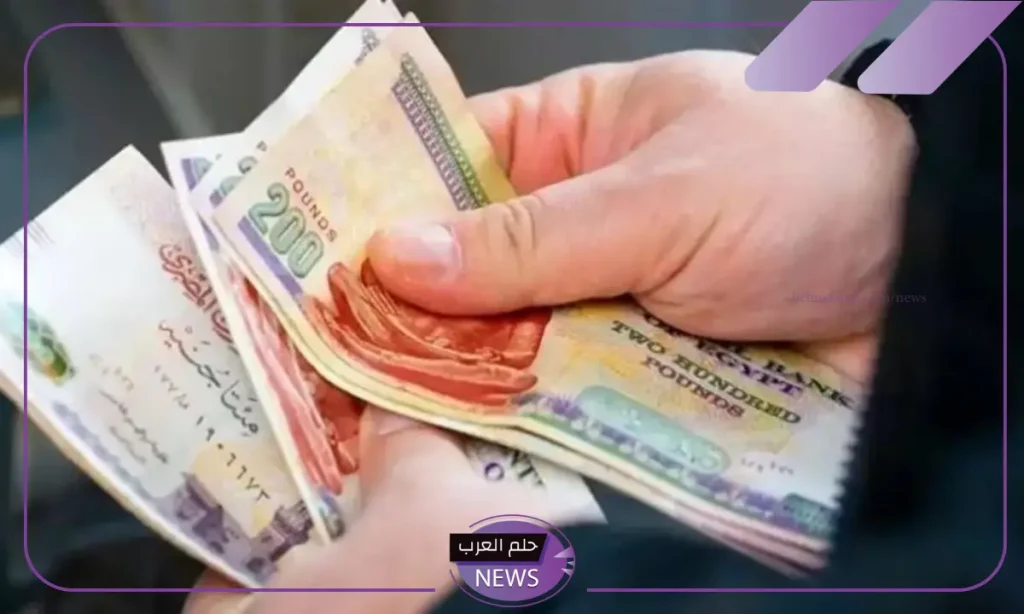 وزارة المالية.. الإعلان عن موعد صرف مرتبات شهر نوفمبر ومكافأة نهاية الخدمة وزارة المالية.. الإعلان عن موعد صرف مرتبات شهر نوفمبر ومكافأة نهاية الخدمة
