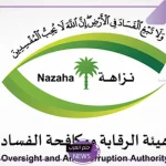 بالتفصيل.. السعودية تبدأ بالعمل على استرداد الأصول عالميًا باستضافة الأمانة الدائمة لشبكة مينا أيرن