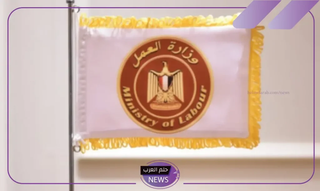 قدم وسافر.. وزارة العمل المصرية تعلن 21 فرصة عمل في 7 تخصصات بالمملكة قدم وسافر.. وزارة العمل المصرية تعلن 21 فرصة عمل في 7 تخصصات بالمملكة