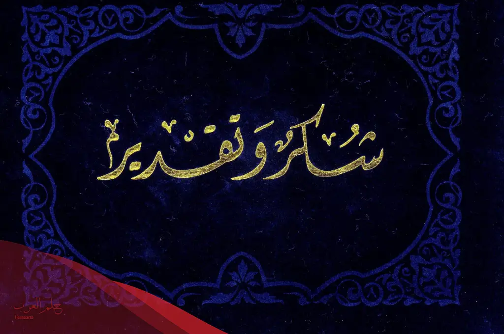كلمة شكر للمديرة قصيرة .. أجمل كلمات الشكر للمديرة