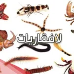 اسماء الحيوانات اللافقارية .. أشهر أمثلة على الحيوانات اللافقارية