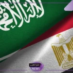 رسميًا.. مصر والسعودية يقرران تقليص زمن الإفراج الجمركي من 3 أيام إلى 3 ساعات