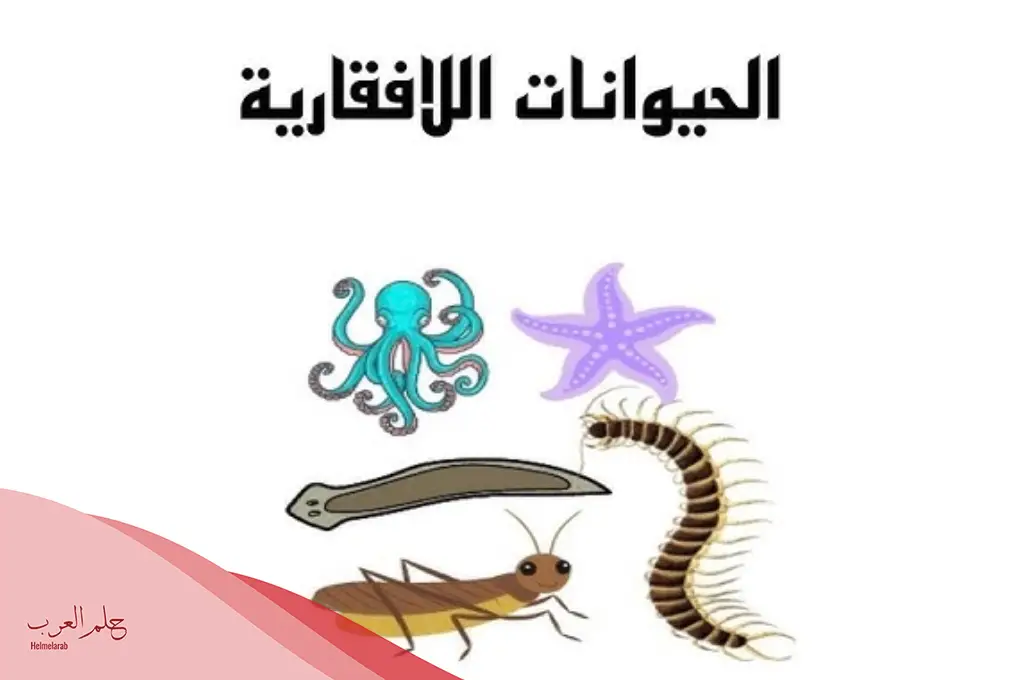 اسماء الحيوانات اللافقارية .. أشهر أمثلة على الحيوانات اللافقارية
