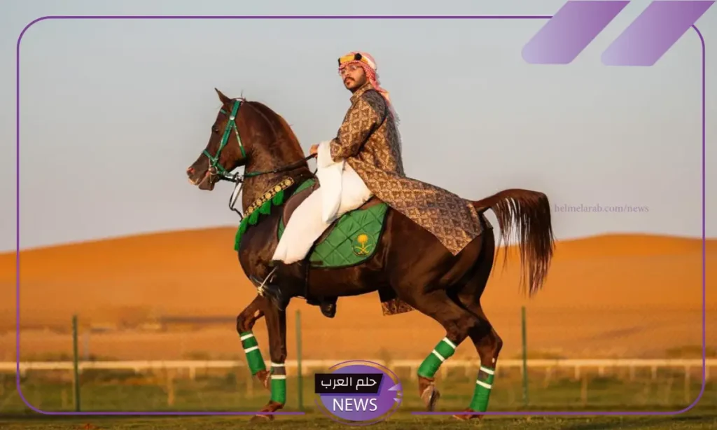 بعد الحصول عليها.. تعرف على سبب فوز سعودية بجائزة حمدان بن محمد الدولية للتصوير