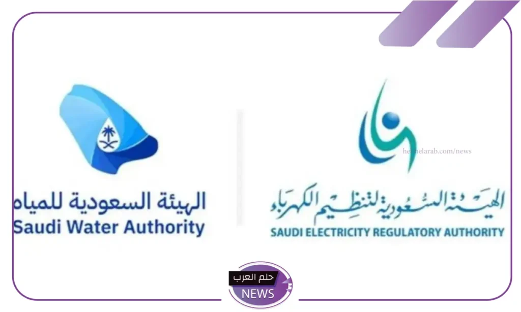 رسميًا.. الهيئة السعودية للمياه تدعو كافة المستفيدين للبدء بتوثيق عدادات المياه