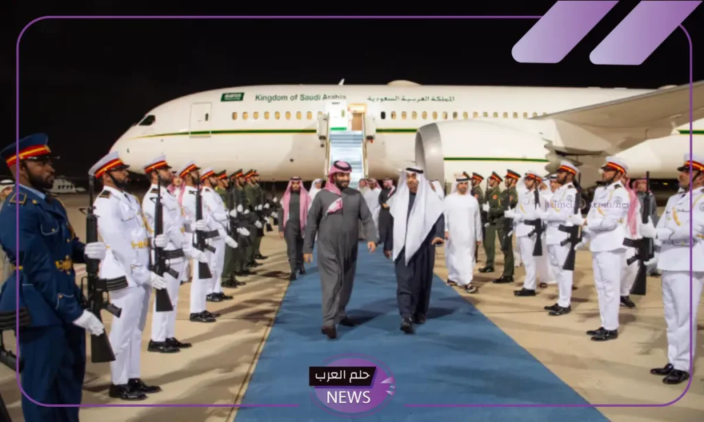 شاهد.. ولي العهد والرئيس الإماراتي يؤكدان أهمية العمل على حفظ الاستقرار الإقليمي