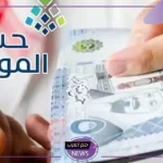 ما حقيقة صرف راتبين لحساب المواطن خلال شهر ديسمبر؟ اعرف الحقيقة كاملة