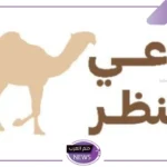 رابط مباشر.. التسجيل على منصة راعي النظر للتصويت لجائزة منقية الجزيرة 1446