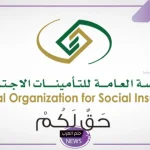 بعد تحديد الحد الأدنى للمعاشات.. التأمينات الاجتماعية تزف نبأ سعيد لكل المقبلين على التقاعد