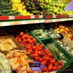الموارد البشرية.. تحديد قائمة الجنسيات العربية المسموح لها بالعمل في محلات الخضروات
