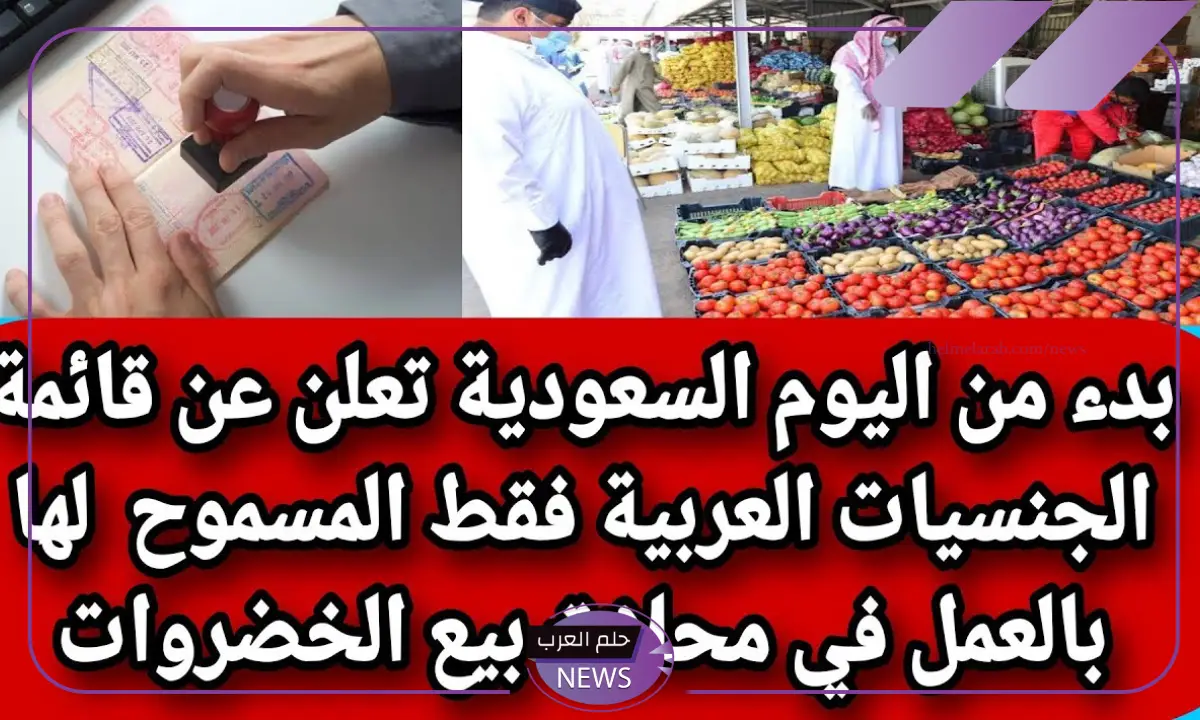 الموارد البشرية.. تحديد قائمة الجنسيات العربية المسموح لها بالعمل في محلات الخضروات