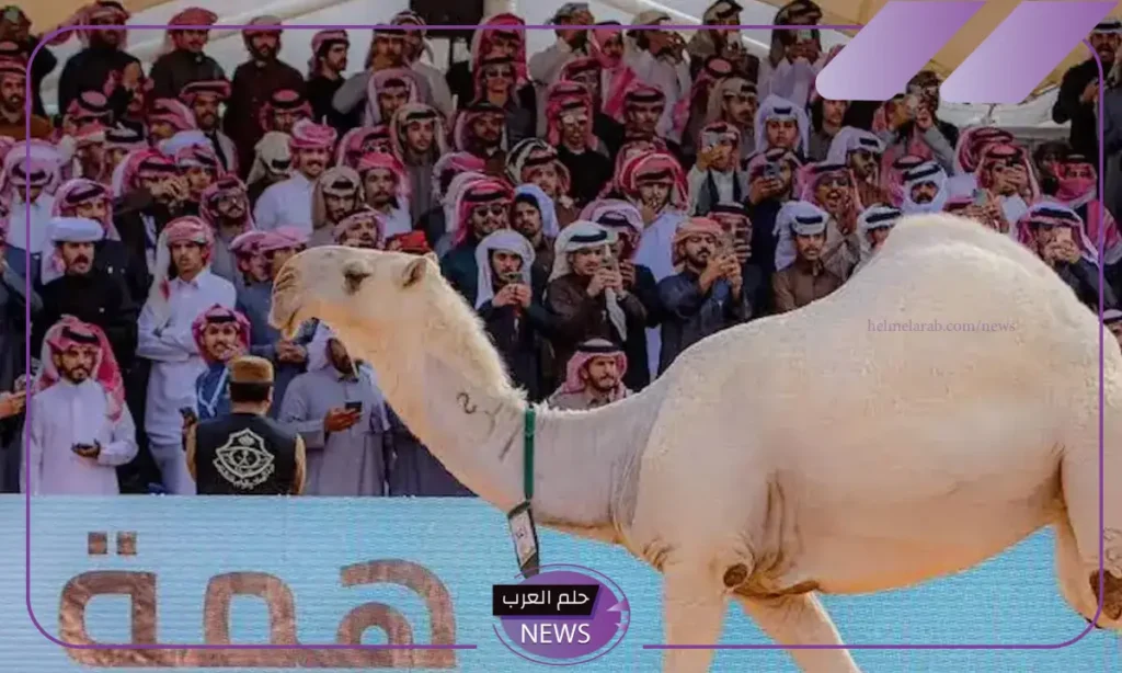 رابط مباشر.. طريقة التقديم في منصة راعي النظر وأهم الضوابط