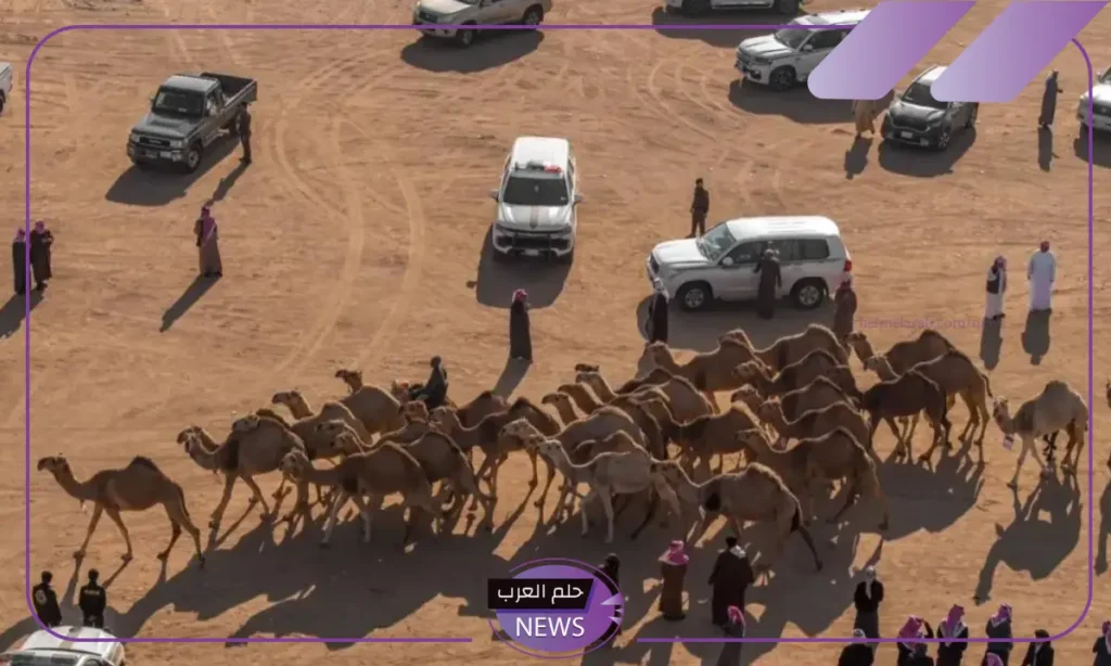 رابط مباشر.. التسجيل على منصة راعي النظر للتصويت لجائزة منقية الجزيرة 1446